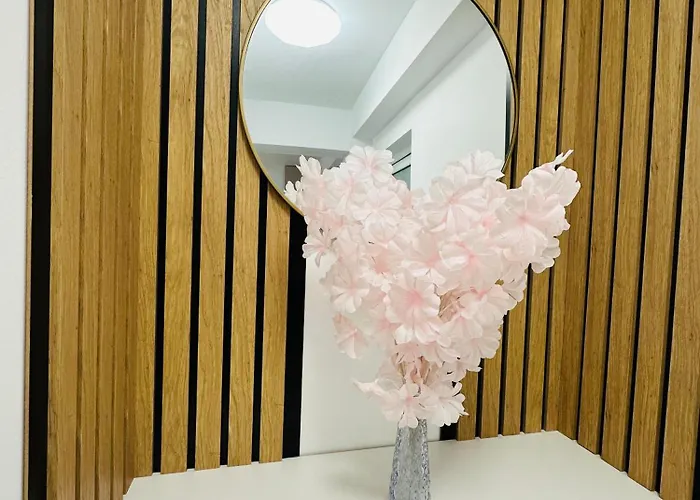 Cozy Bbc * קלוז'-נאפוקה